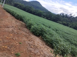 Edifício Vista Bela